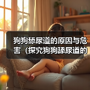 狗狗舔尿道原因与危害分析｜科学应对全攻略(图4)