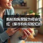 揭秘狗狗屁股为何会变红(探寻狗狗屁股红的原因及解决办法)(图4) 狗狗屁股变红原因解析及护理全攻略(图4)