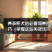 养茶杯犬的必备饲养技巧(掌握这些关键技巧,让你的茶杯犬健康快乐)(图3) 养茶杯犬必备技巧|健康快乐成长全攻略(图3)