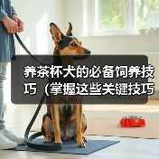 养茶杯犬的必备饲养技巧(掌握这些关键技巧,让你的茶杯犬健康快乐)(图2) 养茶杯犬必备技巧|健康快乐成长全攻略(图2)