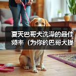 夏天巴哥犬洗澡频率指南｜清爽护理全攻略(图3)