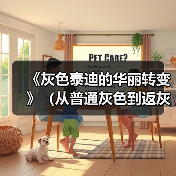 灰色泰迪毛发变化全攻略｜从普通到返灰的华丽转变