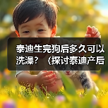泰迪生完狗后洗澡时间及注意事项｜产后护理全攻略