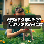 犬窝咳多久可以治愈?(治疗犬窝咳的关键措施与预防方法)(图2) 犬窝咳多久能好?治疗与预防全攻略(图2)