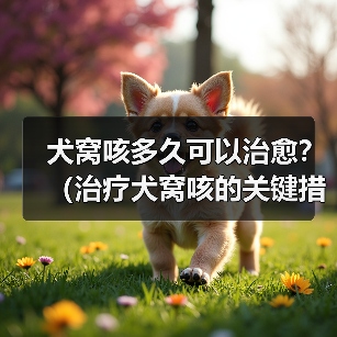 犬窝咳多久能好？治疗与预防全攻略
