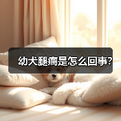幼犬腿瘸原因解析及应对方法｜常见问题全攻略(图3)