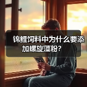 锦鲤饲料添加螺旋藻粉的作用与优势｜新手养鱼实用指南