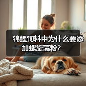 锦鲤饲料中为什么要添加螺旋藻粉?(图2) 锦鲤饲料添加螺旋藻粉的作用与优势|新手养鱼实用指南(图2)