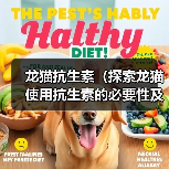 龙猫抗生素(探索龙猫使用抗生素的必要性及安全性)(图3) 龙猫抗生素使用指南|安全性与必要性解析(图3)