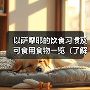 萨摩耶饮食指南｜健康食物与禁忌全解析