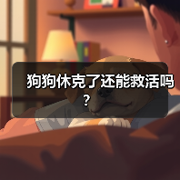 狗狗休克急救方法及恢复可能性｜宠物休克核心技巧