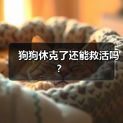狗狗休克了还能救活吗?(图2) 狗狗休克急救方法及恢复可能性|宠物休克核心技巧(图2)