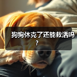 狗狗休克了还能救活吗?(图4) 狗狗休克急救方法及恢复可能性|宠物休克核心技巧(图4)