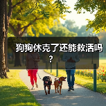 狗狗休克了还能救活吗?(图3) 狗狗休克急救方法及恢复可能性|宠物休克核心技巧(图3)