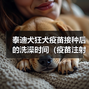 泰迪犬狂犬疫苗接种后的洗澡时间(疫苗注射后多久才能为你的泰迪犬洗澡?)(图3) 泰迪犬狂犬疫苗后洗澡注意事项|科学护理全攻略(图3)