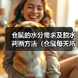仓鼠饮水需求与脱水判断方法｜宠物养护全攻略(图4)