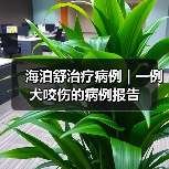 海泊舒治疗病例 | 一例犬咬伤的病例报告(图2) 犬咬伤感染治疗案例|保守方案效果分析(图2)
