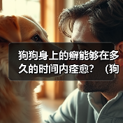 狗狗癣症治疗周期及方法解析｜实用指南