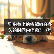 狗狗癣症治疗周期及方法解析｜实用指南(图3)