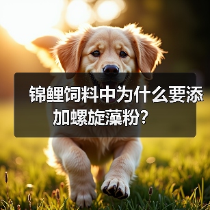 锦鲤饲料中为什么要添加螺旋藻粉?(图4) 锦鲤饲料添加螺旋藻粉的作用与优势|新手养鱼实用指南(图4)