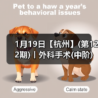 1月19日【杭州】(第122期)丨外科手术(中阶)实战班,2人/组提供一猫一狗,实操超多!(图3) 外科手术中阶实战班|实操提升全攻略(图3)