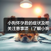 小狗怀孕症状与护理全攻略｜保障母犬幼犬健康(图4)