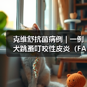 克维舒抗菌病例 | 一例犬跳蚤叮咬性皮炎(FAD)的病例分析(图2) 犬跳蚤叮咬性皮炎病例分析|综合治疗全攻略(图2)