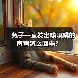 兔子噗噗噗叫的原因及处理方法｜健康指南(图3)