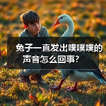 兔子噗噗噗叫的原因及处理方法｜健康指南(图4)