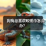 狗狗咬纸巾怎么办？纠正方法全攻略(图2)