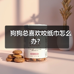 狗狗咬纸巾怎么办？纠正方法全攻略(图3)