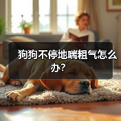 狗狗不停地喘粗气怎么办?(图2) 狗狗喘粗气原因及处理方法|常见问题全攻略(图2)