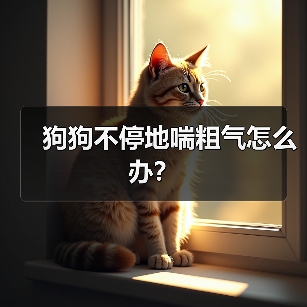 狗狗喘粗气原因及处理方法｜常见问题全攻略