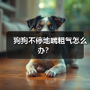 狗狗不停地喘粗气怎么办?(图3) 狗狗喘粗气原因及处理方法|常见问题全攻略(图3)