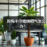 狗狗不停地喘粗气怎么办?(图4) 狗狗喘粗气原因及处理方法|常见问题全攻略(图4)