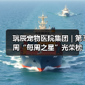 瑞辰宠物医院集团 | 第3周“每周之星”光荣榜(图3) 瑞辰每周之星评选|优秀员工风采展示(图3)