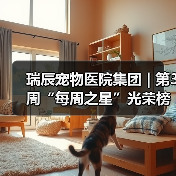 瑞辰宠物医院集团 | 第3周“每周之星”光荣榜(图2) 瑞辰每周之星评选|优秀员工风采展示(图2)
