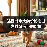 法国斗牛犬价格高原因解析｜购买全攻略