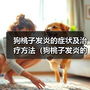 狗桃子发炎症状治疗预防全攻略
