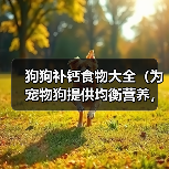 狗狗补钙食物大全｜科学喂养助健康成长