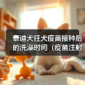 泰迪犬狂犬疫苗接种后的洗澡时间(疫苗注射后多久才能为你的泰迪犬洗澡?)(图1) 泰迪犬狂犬疫苗后洗澡注意事项|科学护理全攻略(图1)