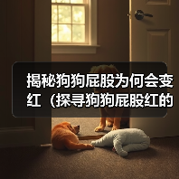 狗狗屁股变红原因解析及护理全攻略