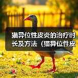 猫异位性皮炎治疗时长方法全攻略(图3)