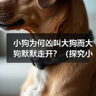 小狗为何凶叫大狗而大狗默默走开？行为差异全攻略