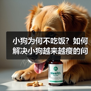 小狗为何不吃饭及解决瘦弱问题全攻略