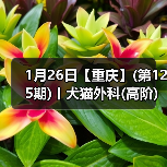 犬猫外科高阶实操班技术核心技巧(图3)