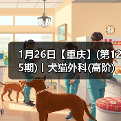 犬猫外科高阶实操班技术核心技巧(图4)