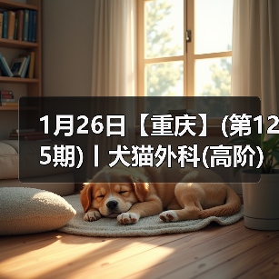 犬猫外科高阶实操班技术核心技巧(图2)