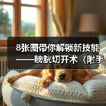 8张图带你解锁新技能——膀胱切开术(附手术视频)(图1) 膀胱切开术全攻略(图1)