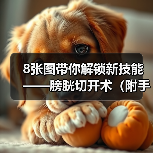 8张图带你解锁新技能——膀胱切开术(附手术视频)(图4) 膀胱切开术全攻略(图4)